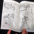 和本明治26年（1893）「通俗絵入坂東観世音霊場記/秩父観世音霊場記」2冊/永井俊太郎/古書/銅版摺り