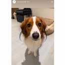 ありがとうございます