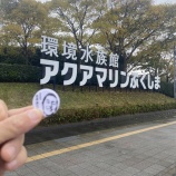 �ء�ͣ��̵��✨���ƴݥ������ޥ��٤β���