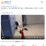 わんこーる速報！