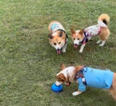 半年ぶりの兄妹の再会です。😆💕💕