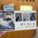 鹿児島のシロクマが泳ぐ独特な作風に魅入ってしまったゾ！野平さんの作品展に行ってきました！