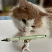 ペンを持ち上げるネコとペンを噛む猫