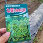 定年後のお小遣い稼ぎ