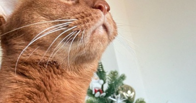 ひめちゃんの朝