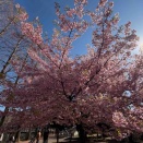 数年のもやもや期を経て、やりたいことを見つけてたことに気づいた話