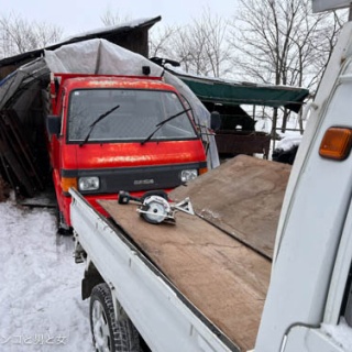 馬とニャンコと男と女