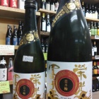 �رɸ��ڻΡ�������������ǵ��2020�٤β���