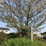 三重県よろずや