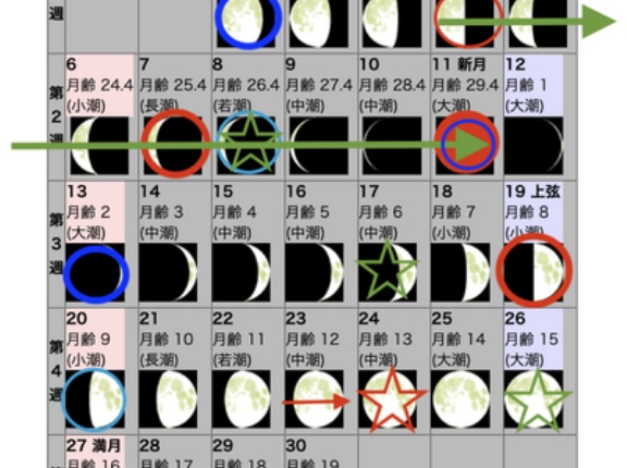 2026年9月の自然観察日