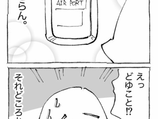 【１８】海外飛行機が目的地に辿り着かん。