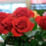 �ؿ����ʼ���ΥХ�ʥ�åɷϡˡ��Х�ե����ˤơ٤β���