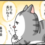 猫ってぼーっとしながらつい観察しちゃう