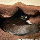 懐かしのお菓子は＆スパニッシュオムレツ