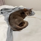 パジャマの上着取られちゃった(*´ω`*)