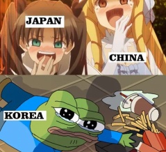 韓国人「お前らの国と歴史が最も似ている国はどこになる？」