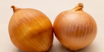 【愚痴】母がたまに突然やってきて「ちゃんと食べなさい！」と食べ物を置いていくんだけど…