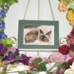 水戸ペットセレモニーのblog【ペット火葬・霊園・茨城・水戸市】