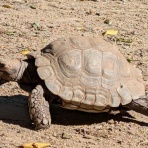 昼というより夜