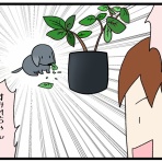 タロちゃん家