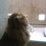 ファレンドのオタクな婚活/友活ブログ