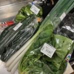 のびーの食っちゃね～だらだらな日々。食っちゃ寝生活してても意外と平気だったりする。