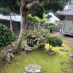 雨の古民家。