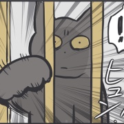めずらしい猫パンチ