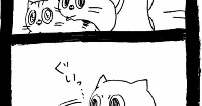 産んでません