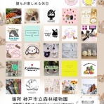 for the RABBIT【保護うさぎの里親探し】