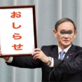 8月の予定