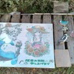 自然を満喫しよう！