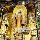『実家のお寺　浄土宗　西迎院🙏』の画像