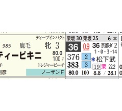 【レース予想】阪神１Ｒ・３歳未勝利（牝）