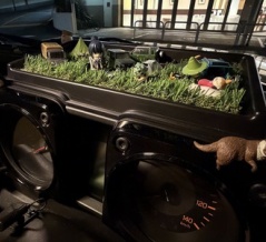 ジムニー（JB64W）〜まだまだ🍂秋花粉症の夕飯ミッション🛺💭〜