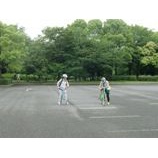 �����ϥ⡼�˥󥰥ݥ���󥰡٤β���