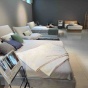 �ɥ꡼���RUF+ligneroset