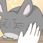 毎日全身タイツ日和