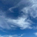 【考えごと】隠すのがいちばん。