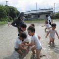 田んぼで泥んこ遊び（以上児）
