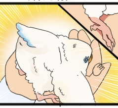 雛ちゃん、ころんころ〜〜ん🐣 その3