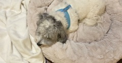 緊急病院へ