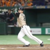 ハム近藤が完全復活している件 	