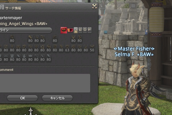 Lost Hollow In Eorzea Dps
