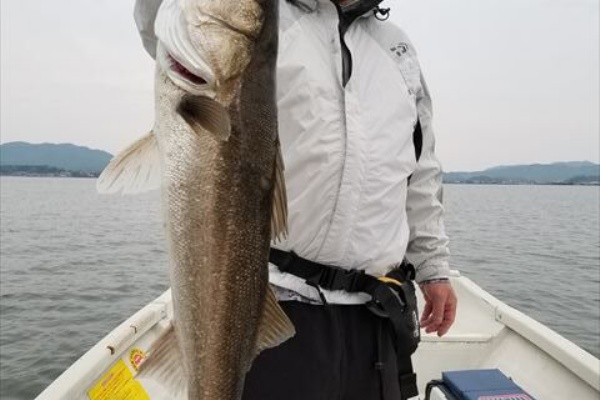 宍道湖 中海 ボートシーバス ガイド船 たたら丸 年05月