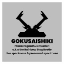 2025年ブリードでの知見