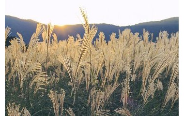 『連休は心の休息日だった』の画像