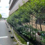 南坊園のブログ