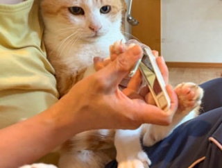 最高潮