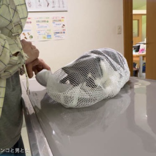 馬とニャンコと男と女